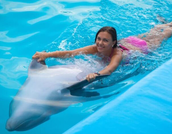 Swimming with Dolphins at Dubai Dolphinarium