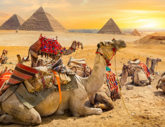 Great Tour of Egypt