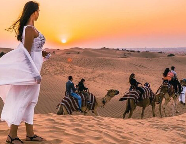 Sunset Camel Safari Dubai: Camel Ride, Sand Boarding, Falcon, Premium BBQ Dinner