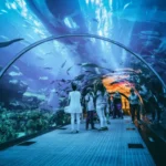 Burj Khalifa Dubai Aquarium