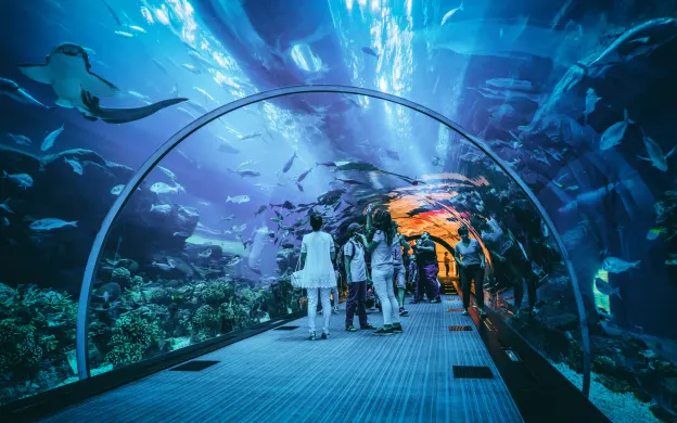 Burj Khalifa Dubai Aquarium